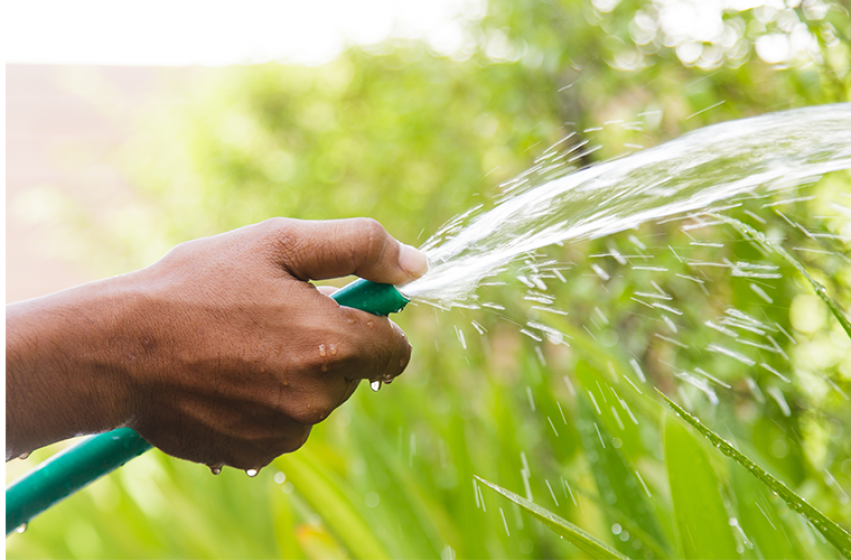 Watering, McDonald Garden Center 